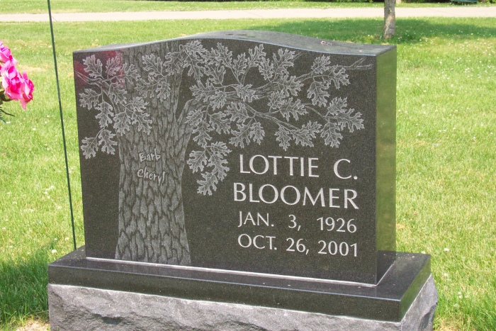 Bloomer 010109