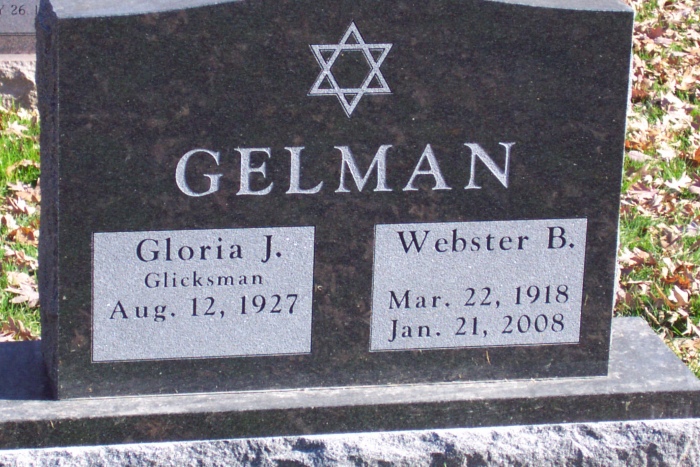 Gelman 080184