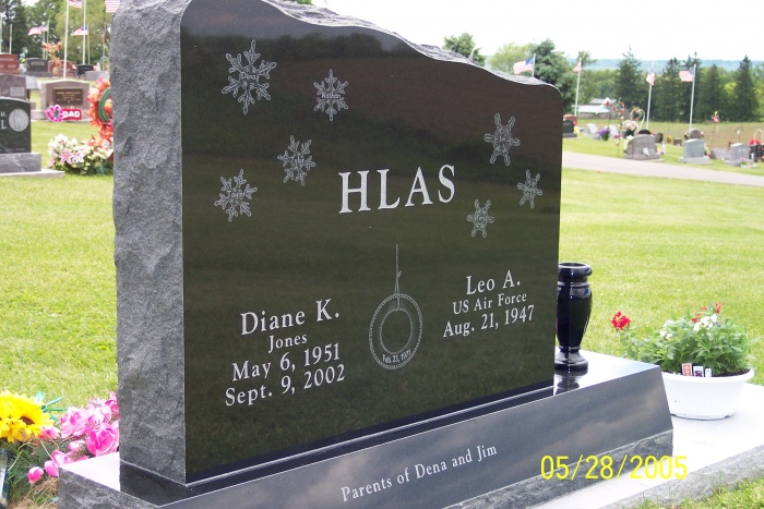 Hlas 040208