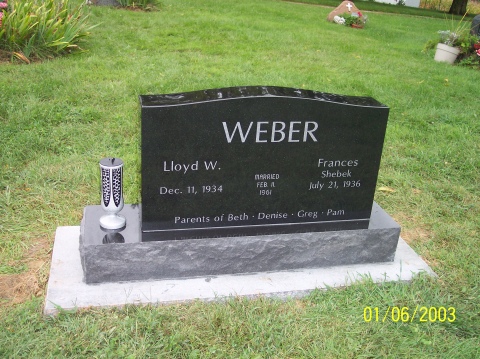 Weber 100111